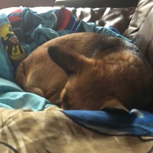 Meet your Posher, Barbara